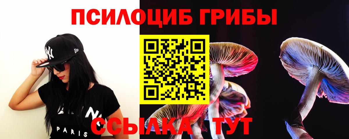Галлюциногенные грибы GOLDEN TEACHER  наркота  Грозный  Вход с VPN 